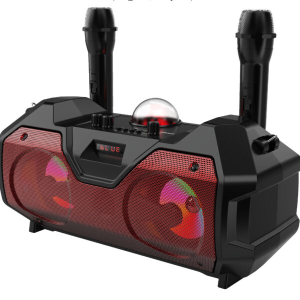 Dual Mic Speaker